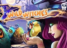 Wild Witches Slot