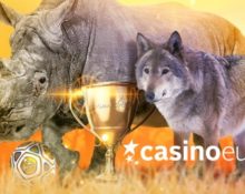 Casino Euro – Become a Cash Champion!